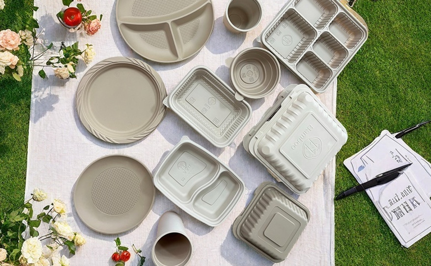 Rectangle Lunch Box